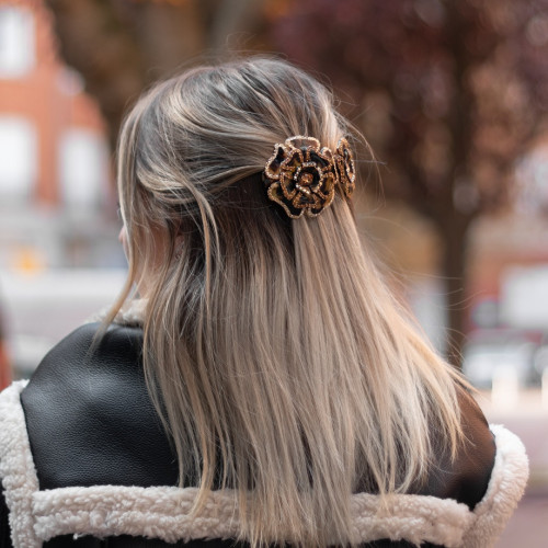 94925_1 - MC Davidian - New Camellias Brillant Ponytail TGM