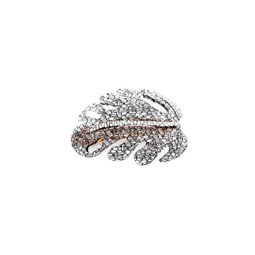 95694a_1 - MC Davidian - Leaf Brillant Ponytail TGM 2