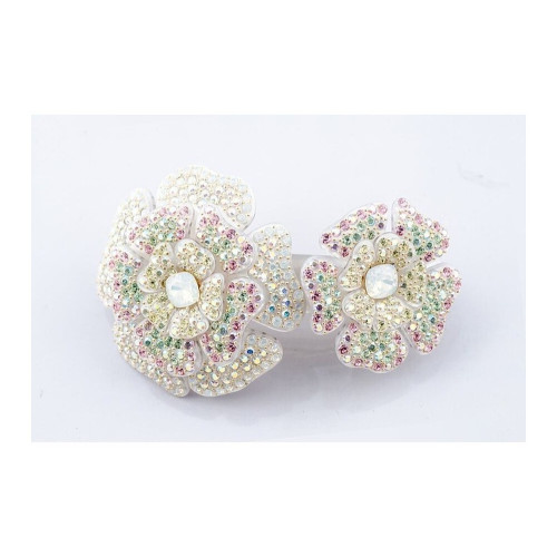 94933_1 - MC Davidian - New Camellias Sparkling Ponytail TGM 2