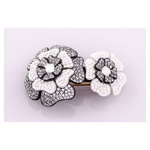 94933_1 - MC Davidian - New Camellias Sparkling Ponytail TGM